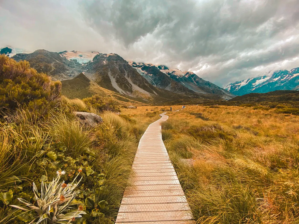 Oops, was not download, sorry!